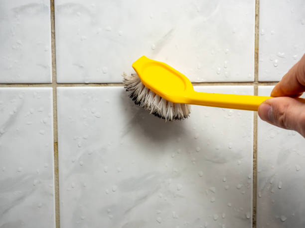 Best Best Mold Removal Companies  in Parkersburg, WV