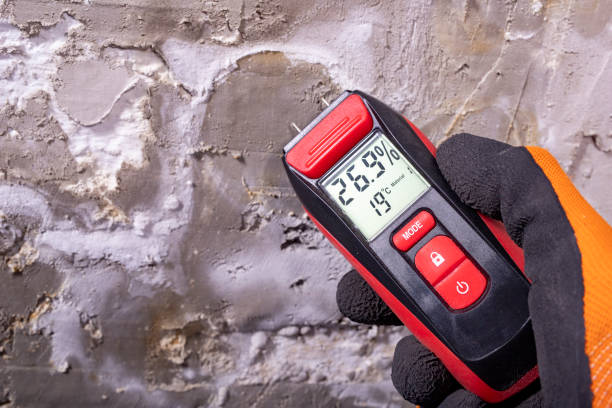 Best Mold Removal Company Near Me  in Parkersburg, WV